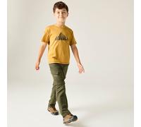 (6 - 7 Yrs, Treetop) Regatta Kids Sorcer III Zip Off Trousers