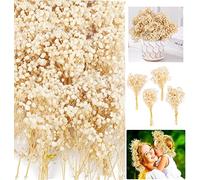 6 Bundles 30 Pcs Mini Dried Baby's Breath Flowers for Art Craft DIY, Natural Bulk Flowers, Pressed Gypsophila Bouquet for Hair Accessory, Wedding Wreath, Home Decor (Ivory White)