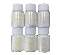 6 Color Pearl Pigment for Resin Mica Polarized Pearlescent Kit Jewelry Making Acrylic Paint