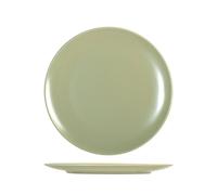 6 Denver Green Stoneware Dinner Plates 26 Cm H&H