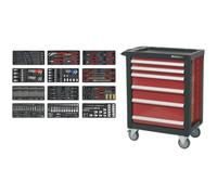 6 Drawer Rollcab with 298 Piece Tool Kit - Ball Bearing Slides - Cylinder Lock