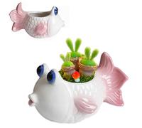 6’’ Fish Ceramic Succulent Planter Cute Cartoon Pottery Bonsai Pot Cactus Flower Plants Pot Air Plant Holder Display Containers for Home Office Desk Table Shelf Window Decor (Plants NOT included)