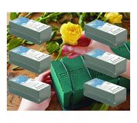 6 Green Wet Foam Oasis Bricks For Fresh Floral Crafts Flower Arranging