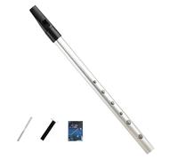 6-Hole Irish Tin Whistle in D Key for Beginner Expert Band Performances (Silver)