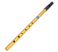 6 Hole Irish Whistle Flute Instrument in C and D Tone Metal and ABS Penny Whistle for Traditional Music Lovers (Gold C Key)