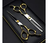 6 Inch Japan 440C Steel Hairdressing Scissors Set - Dual-Purpose Thinning & Cutting Shears with Ergonomic Anti-Slip Grip(Set with Bag)