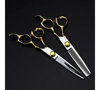 6 Inch Japan 440C Steel Hairdressing Scissors Set - Dual-Purpose Thinning & Cutting Shears with Ergonomic Anti-Slip Grip(Set)