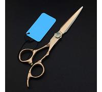 6 Inch Professional Hair Cutting Shears - Japan 440C Steel, Retro Rose Design, Barber Scissors