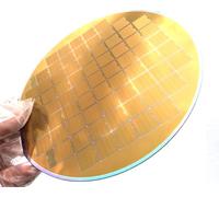 6 Inch Single-Side Polished Silicon Wafer, IC Lithography Sample for Semiconductor Display, Coating and Microscopy Training (Litho Slice No.1(640um))
