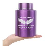 6 Inches Small Urn for Human Ashes Stainless Medium Urn Small Keepsake Urn for Ashes Memorial Urn with Angle Wing-My Mind Still Talks to You