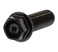 6 Kant Schraube Pro Bolt M10X1.25 35 mm Edelstahl A4 schwarz