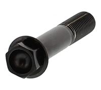 6 Kant Schraube Pro Bolt M10X1.25 55MM Edelstahl A4 schwarz