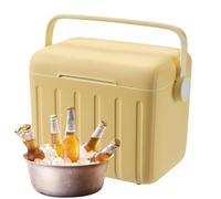 6?L Portable Insulated Cooler Box with 6 Ice Packs, Outdoor Picnic and Travel Chest for Drinks & Food, Ideal for Hiking, Gym, Camping, Barbecue, Beach, Disaster Prep, Daily Sports Use