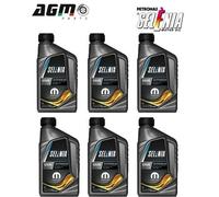 6 Liters Engine Oil Selenia ACEA C3 Multipowergas 5W40 9.55535-T2? 70552EF8EU