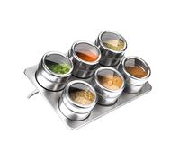 6 Magnetic Spice Herbs Condiments Jars with Rectangular Tray Stainless Steel