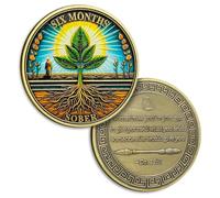 6 Months Sobriety Coin Six Months Sober Coins June AA Chips and Medallion Sun Chip Alcoholics Anonymous Coin Recovery Anniversary Token Sobriety Gifts for Women Men