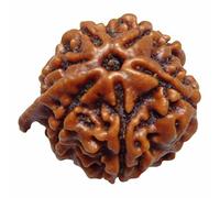 6 Mukhi Ganesh Ji Nepali Rudraksha Silver 925 Pendant | Six Faced Rudraksha Mala | 100% Original & Certified by Arihant Gems & Jewels