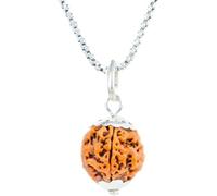 6 Mukhi Nepal Rudraksha Original 92.5 Silver Pendant with Silver Chain Energized (24mm-25mm)