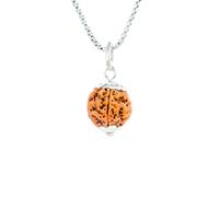 6 Mukhi Nepal Rudraksha Original Silver Pendant Chain Energized, Medium 22mm-24mm, Rudraksha