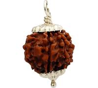 6 Mukhi Nepal Rudraksha Original Silver Pendant Energized (20mm-22mm)