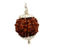 6 Mukhi Nepal Rudraksha Original Silver Pendant Energized, Large 24mm-25mm, Rudraksha