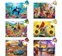 6 Pack 24 Large Piece Puzzles for Seniors Puzzle Dementia Alzheimer's Products Activities for Elderly Adults Easy Jigsaw Puzzle Alzheimer's Gift for Patients in Nursing Home with 6 Storage Bags