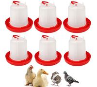 6 Pack 3L Chicken Water for Brooder - Poultry Drinker | Water Dispenser for Chicks, Ducks, Quail, Pigeons, and Backyard Coop Use