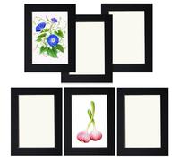 6 Pack 7x5 Inch Black Cardboard Photo Frames, Ultra-Thin Self-Adhesive Wall Mounted, Removable Picture Frames for Smooth Walls, Easy No-Residue Peel-Off with Dust Cover