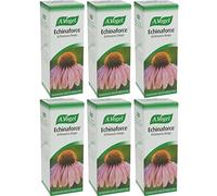 (6 PACK) - A Vogel - Echinaforce Drops | 100ml | 6 PACK BUNDLE