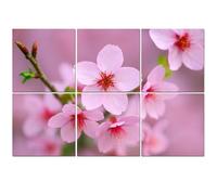 6 Pack Acoustic Foam Panels Sound Proofing Beautifully blooming Japanese cherry blossoms Acoustic Wall Panel Soundproofing for Livingroom Nursery Room 180x120cm Home Decor