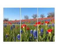 6 Pack Acoustic Foam Panels Sound Proofing Bluebonnets Indian Paintbrush wildflowers color Texas Hill Acoustic Wall Panel Soundproofing for Livingroom Nursery Room 180x120cm Home Decor