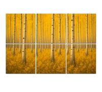 6 Pack Acoustic Foam Panels Sound Proofing Panels Autumn aspen tree forest Rocky Mountains CO Acoustic Wall Panel Soundproofing for Livingroom Nursery Room 72"x48" Home Decor