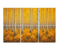 6 Pack Acoustic Foam Panels Sound Proofing Panels Autumn aspen tree forest Rocky Mountains CO Acoustic Wall Panel Soundproofing for Livingroom Nursery Room 72"x48" Home Decor