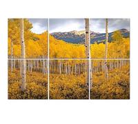 6 Pack Acoustic Foam Panels Sound Proofing Panels Autumn aspen tree forest Rocky Mountains CO Acoustic Wall Panel Soundproofing for Livingroom Nursery Room 72"x48" Home Decor