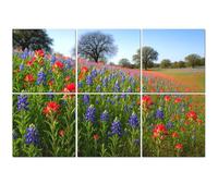 6 Pack Acoustic Foam Panels Sound Proofing Panels Bluebonnets Indian Paintbrush wildflowers color Texas Hill Acoustic Wall Panel Soundproofing for Livingroom Nursery Room 72"x48" Home Decor
