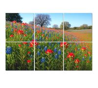 6 Pack Acoustic Foam Panels Sound Proofing Panels Bluebonnets Indian Paintbrush wildflowers color Texas Hill Acoustic Wall Panel Soundproofing for Livingroom Nursery Room 72"x48" Home Decor