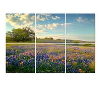 6 Pack Acoustic Foam Panels Sound Proofing Panels Bluebonnets Texas Hill Country Acoustic Wall Panel Soundproofing for Livingroom Nursery Room 72"x48" Home Decor