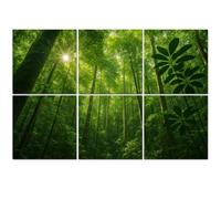 6 Pack Acoustic Foam Panels Sound Proofing Panels Brazilian Rainforest Acoustic Wall Panel Soundproofing for Livingroom Nursery Room 72"x48" Home Decor