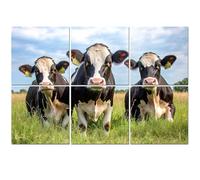 6 Pack Acoustic Foam Panels Sound Proofing Panels Group cows together gathering field happy joyful blue cloudy Acoustic Wall Panel Soundproofing for Livingroom Nursery Room 72"x48" Home Decor
