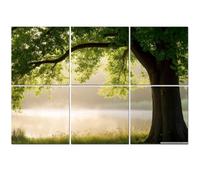 6 Pack Acoustic Foam Panels Sound Proofing Panels Oak Tree Full Leaf Summer Standing Alone Stylized Cat Acoustic Wall Panel Soundproofing for Livingroom Nursery Room 72"x48" Home Decor