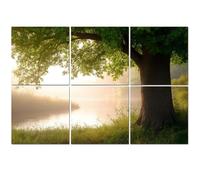6 Pack Acoustic Foam Panels Sound Proofing Panels Oak Tree Full Leaf Summer Standing Alone Water Fog Sunlight Acoustic Wall Panel Soundproofing for Livingroom Nursery Room 72"x48" Home Decor