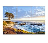 6 Pack Acoustic Foam Panels Sound Proofing Panels Seascape Monterey Bay cypress trees Sunset California Acoustic Wall Panel Soundproofing for Livingroom Nursery Room 72"x48" Home Decor
