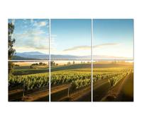 6 Pack Acoustic Foam Panels Sound Proofing Panels Sunrise morning mist scenic vineyard California Acoustic Wall Panel Soundproofing for Livingroom Nursery Room 72"x48" Home Decor