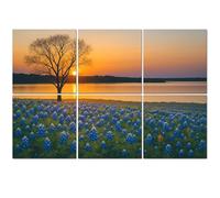 6 Pack Acoustic Foam Panels Sound Proofing Panels Texas Bluebonnet field blooming spring by lake sunset Acoustic Wall Panel Soundproofing for Livingroom Nursery Room 72"x48" Home Decor