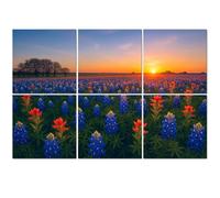 6 Pack Acoustic Foam Panels Sound Proofing Panels Texas bluebonnet flowers field sunset Acoustic Wall Panel Soundproofing for Livingroom Nursery Room 72"x48" Home Decor