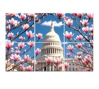 6 Pack Acoustic Foam Panels Sound Proofing United States Capitol Building Magnolia Blossoms Acoustic Wall Panel Soundproofing for Livingroom Nursery Room 180x120cm Home Decor