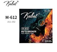 6-Pack Acoustic Guitar Strings Set with 5 Gauges (09-45, 10-50, 11-52, 12-54, 13-56) for Standard 6-String Guitars