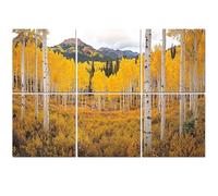 6 Pack Acoustic Wall Panels Sound Absorbing Wall Art acoustic foam Autumn aspen tree forest Rocky Mountains CO 72"x48" Sound Proofing Panels for walls Decorative Noise Dampening