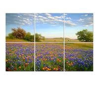 6 Pack Acoustic Wall Panels Sound Absorbing Wall Art acoustic foam Bluebonnets Texas Hill Country 72"x48" Sound Proofing Panels for walls Decorative Noise Dampening