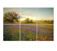 6 Pack Acoustic Wall Panels Sound Absorbing Wall Art acoustic foam Bluebonnets Texas Hill Country 72"x48" Sound Proofing Panels for walls Decorative Noise Dampening